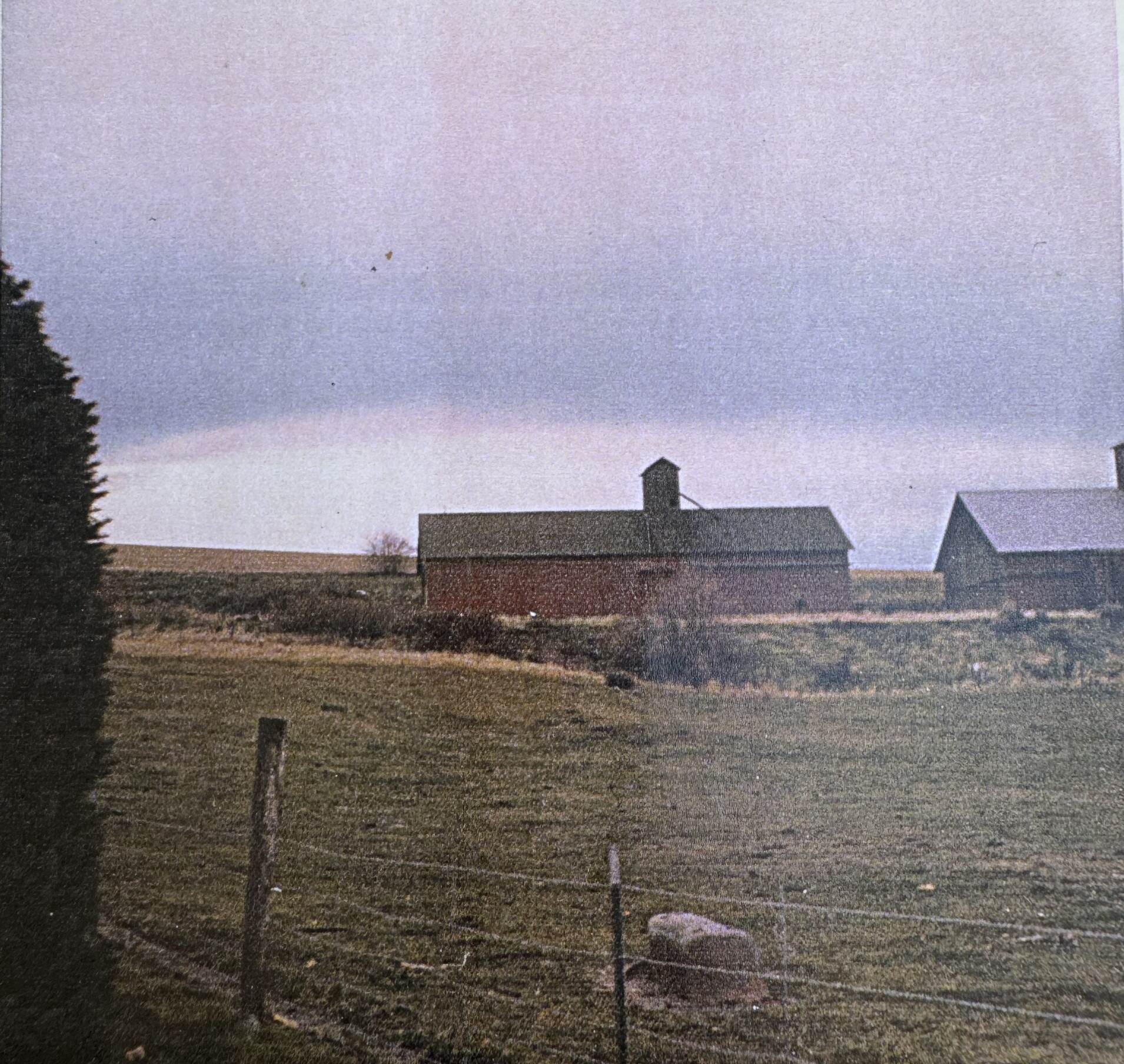 Barns and fields under a pink evening sky